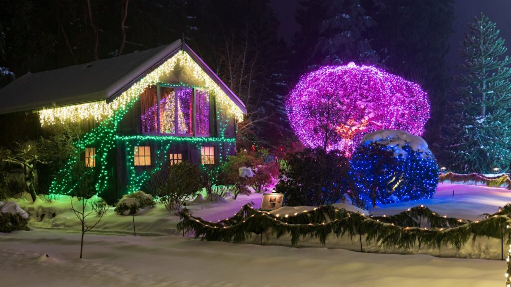 Professional Christmas Lights Installation Considerations